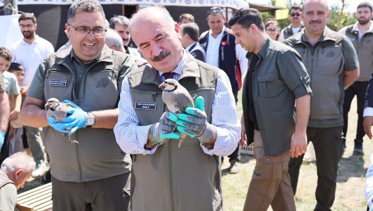 Çorum’da 300 Keklik Doğaya Salındı