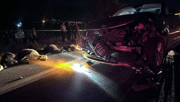 Erzincan’da SUV Aracın Çarptığı 23 Küçükbaş Hayvan Telef Oldu