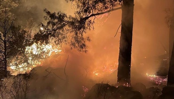 Isparta’da Orman Yangını Kontrol Altına Alındı