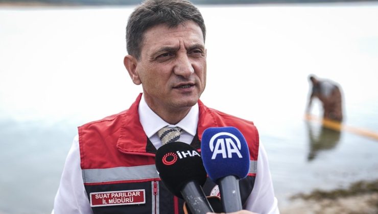 İstanbul’da 3.7 Milyon Sazan Yavrusu Göletlere Salındı