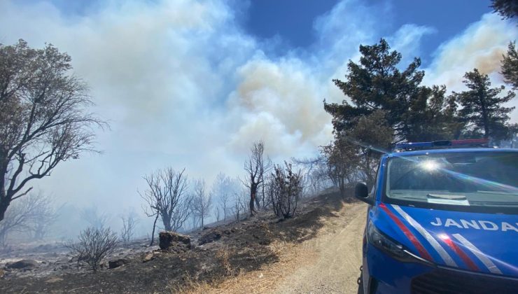 İzmir’de orman yangını: Havadan ve karadan müdahale ediliyor