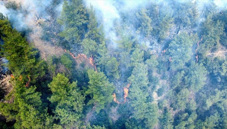 Karabük’te Orman Yangını: Müdahale Devam Ediyor