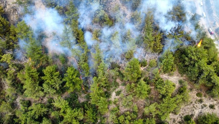 Karabük’teki Orman Yangını Kontrol Altına Alındı