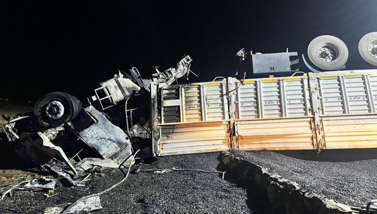 Mardin’de Devrilen Tırda Yangın: Sürücü Hayatını Kaybetti