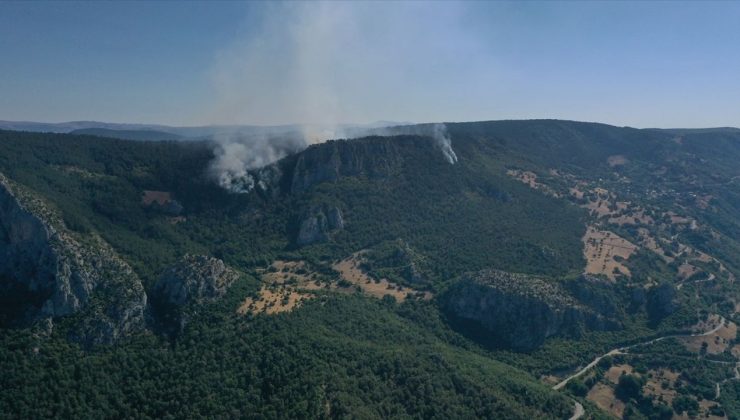 Sinop’ta Orman Yangınına Hızlı Müdahale Devam Ediyor