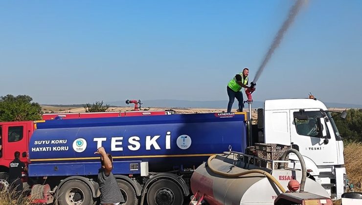 50 Dönüm Makilik Ziyan Oldu