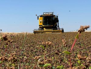 94,3 milyon liralık tarımsal destekleme ödemesi bugün yapılacak