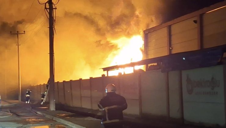 Samsun’da geri dönüşüm fabrikasında yangın