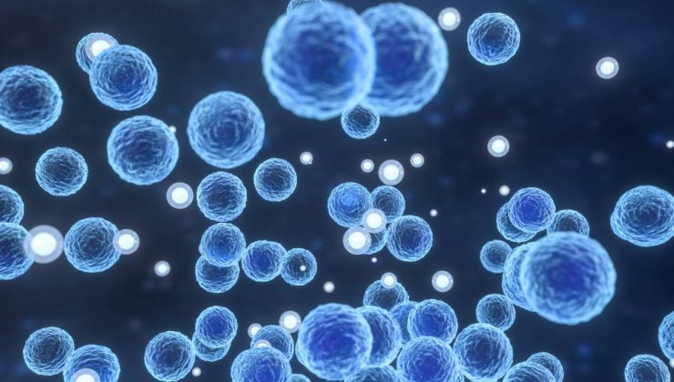 ABD’de listeria bakterisi salgını: 6 kişi öldü, 25 kişi hastaneye kaldırıldı