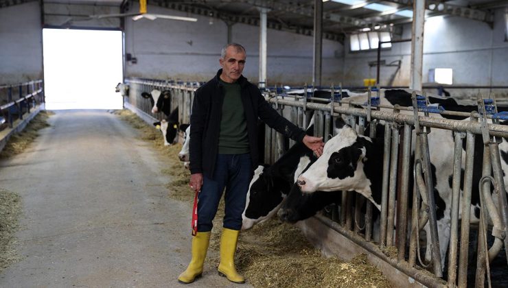 20 inekle başladı, günlük 1 ton süt üretir hale geldi