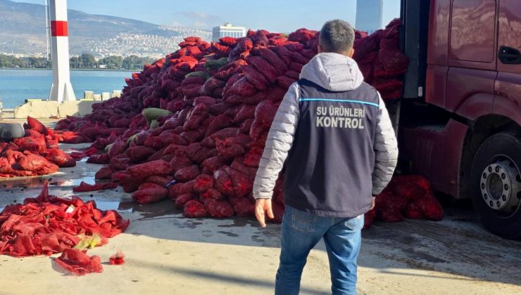 İzmir’de kaçak avlanan 27 ton midye ele geçirildi