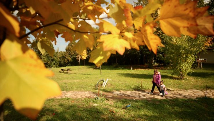 Kasımda “bahar” havası: Sıcaklıklar mevsim normallerinin üstünde