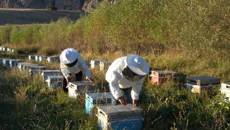 Arıcılık için mesleki standart geliyor