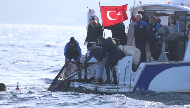 11 yılda denizlerden 2,9 milyon metrekare hayalet ağ çıkarıldı