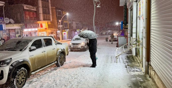 Van’ın yüksek kesimlerinde kar etkili oldu