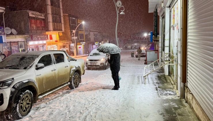 Van’ın yüksek kesimlerinde kar etkili oldu