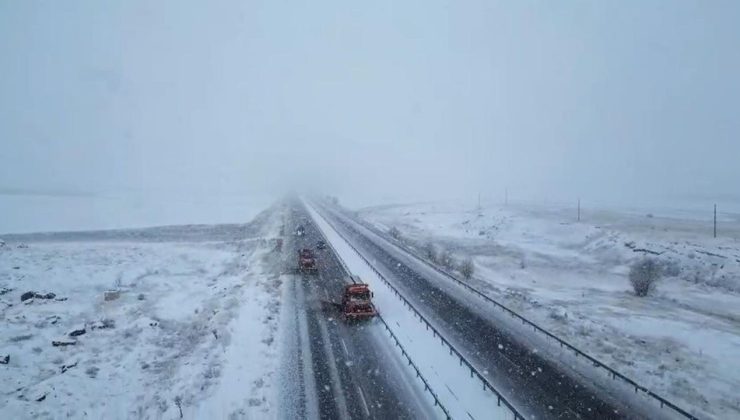 Turuncu kaplanlar kar mesaisinde