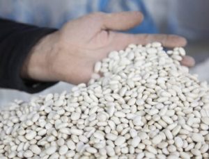 DMM, “kuru fasulye krizi” iddiasını yalanladı