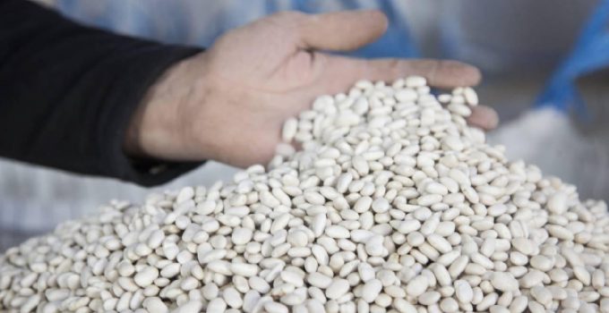 DMM, “kuru fasulye krizi” iddiasını yalanladı