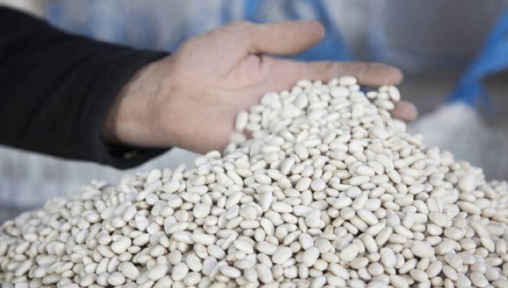 DMM, “kuru fasulye krizi” iddiasını yalanladı