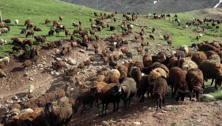 “Halk Elinde Islah Projeleri”ne 2,7 milyar lira destek sağlandı