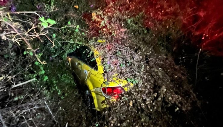 Mersin’de seyir halindeki taksinin üzerine ağaç devrildi