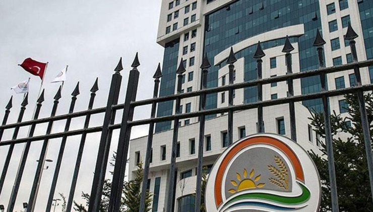 Tiftik, sözleşmeli üretim kapsamında – Son Dakika Haberleri