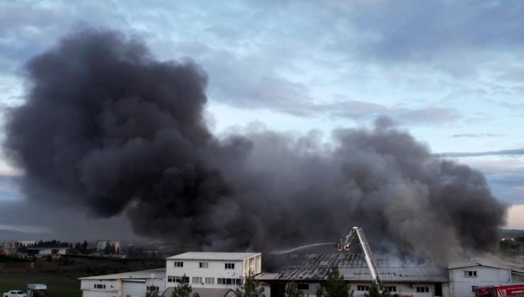 İstanbul Tuzla’da fabrika yangını – Son Dakika Haberleri