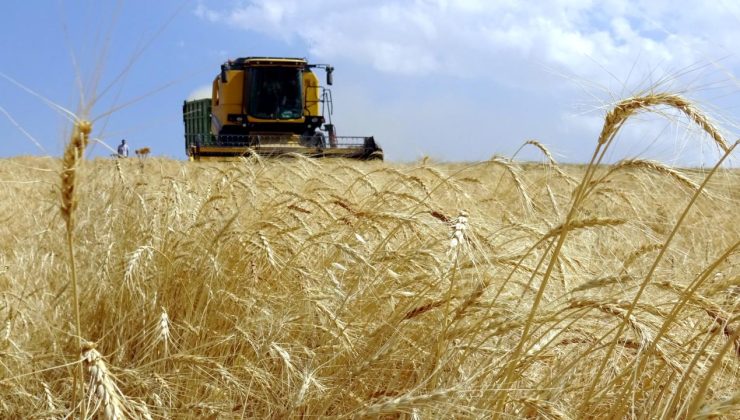 Yaklaşık 5,5 milyar lira tarımsal destekleme ödemesi bugün yapılacak