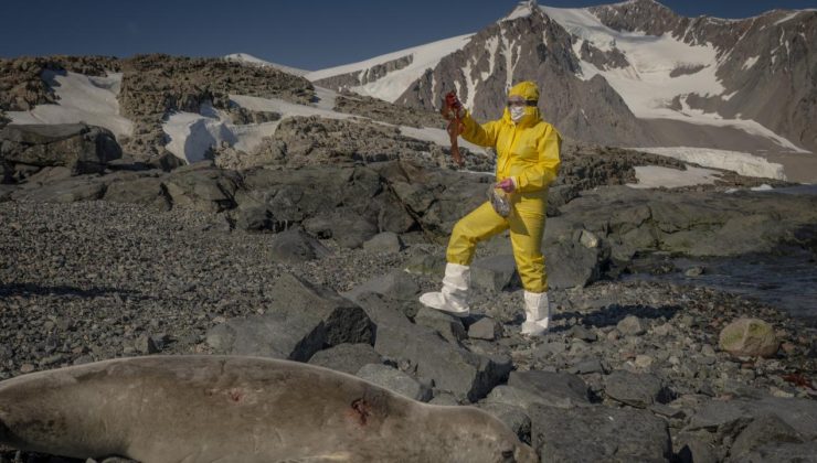 Türk bilim insanları Antarktika’daki araştırmalarıyla sağlık ve tarıma ışık tutuyor