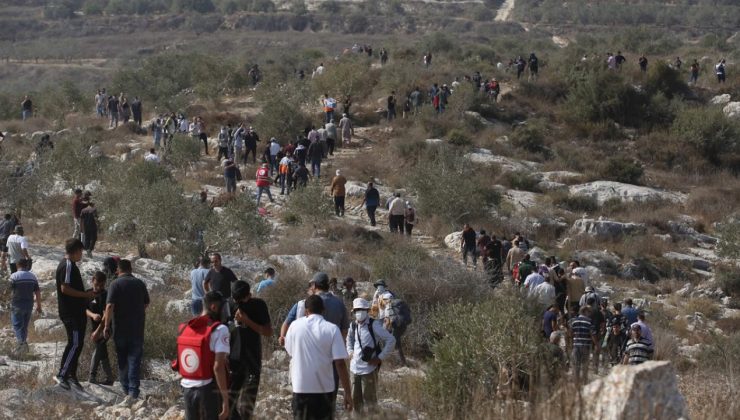 İşgalci İsrail Maliye Bakanı: Batı Şeria’da Filistinlilere ait 3 bin ağacı söktük