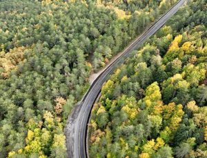 Ormanların bakımı ve gençleştirilmesine geçen yıl 2,3 milyar lira harcandı
