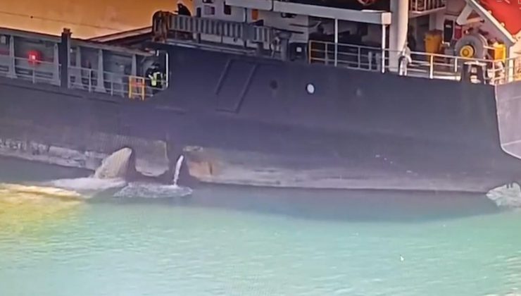 Mersin’de denizi kirleten gemiye 13 milyon lira ceza