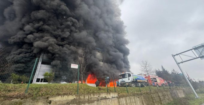 Trabzon’da fındık fabrikası deposunda yangın