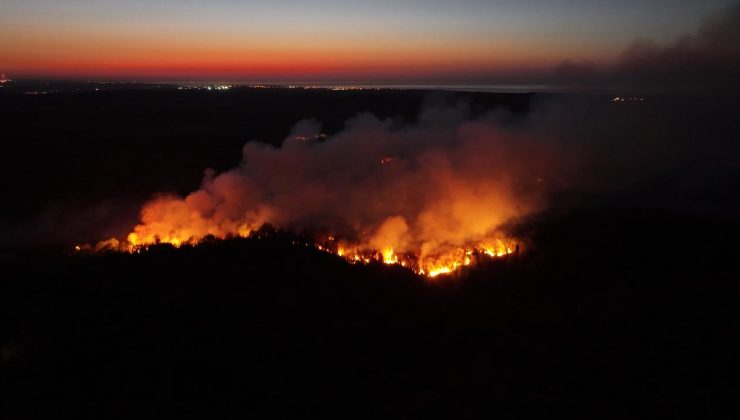 Beykoz’da orman yangını: Alevler yeniden yükseldi