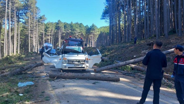 Kesilen ağaç seyir halindeki kamyonetin üzerine devrildi: 1 ölü, 2 yaralı
