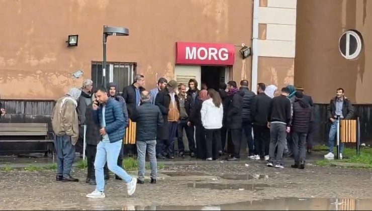 Diyarbakır’da ağaca yıldırım isabet etti: 2 ölü, 1 yaralı