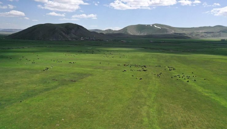 Bakanlıktan Kars’taki “mera yasağı” iddialarına yalanlama