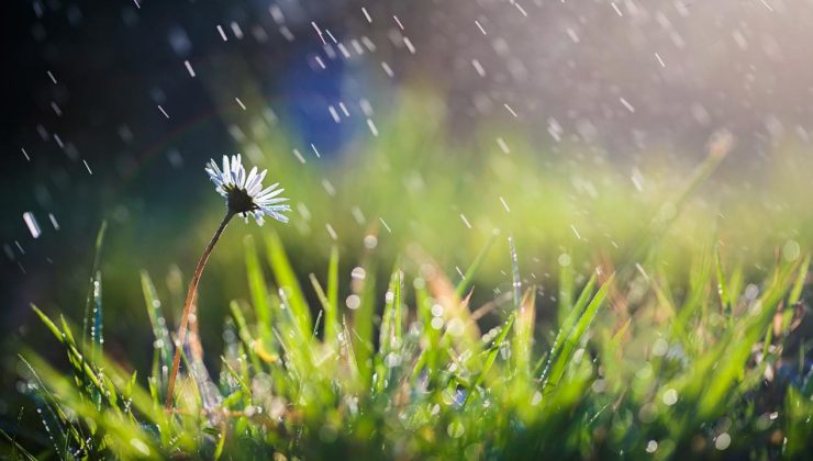 Son yağışlar tabloyu değiştirmedi: Kuraklık sürüyor