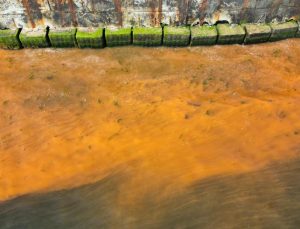 Tekirdağ’da denizin rengi değişti – Son Dakika Haberleri