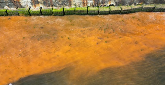 Tekirdağ’da denizin rengi değişti – Son Dakika Haberleri