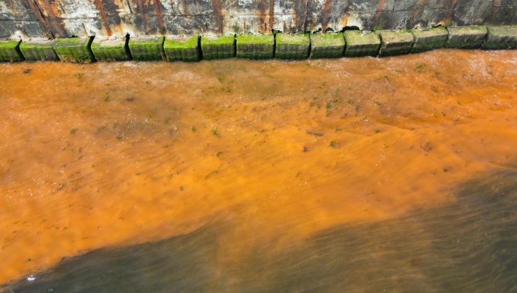 Tekirdağ’da denizin rengi değişti – Son Dakika Haberleri