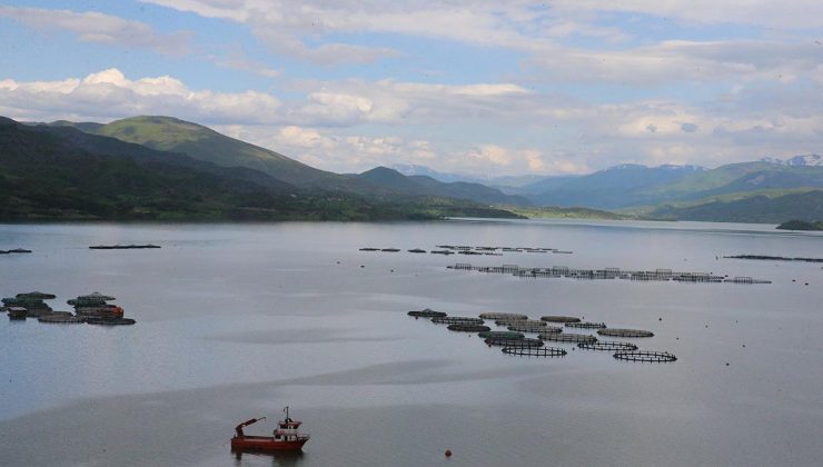Almus Barajı’nda doluluk yüzde 100’e ulaştı