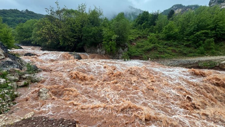 Bartın’da Arıt Deresi taşma noktasına geldi