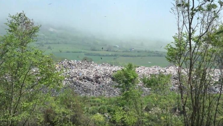 Sinop’ta çevreyi kirleten tesise ceza