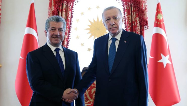 Cumhurbaşkanı Erdoğan, IKBY Başbakanı’nı kabul etti