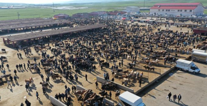 Hayvancılık merkezlerinde bayram hareketliliği arttı