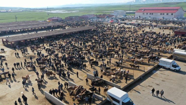 Hayvancılık merkezlerinde bayram hareketliliği arttı