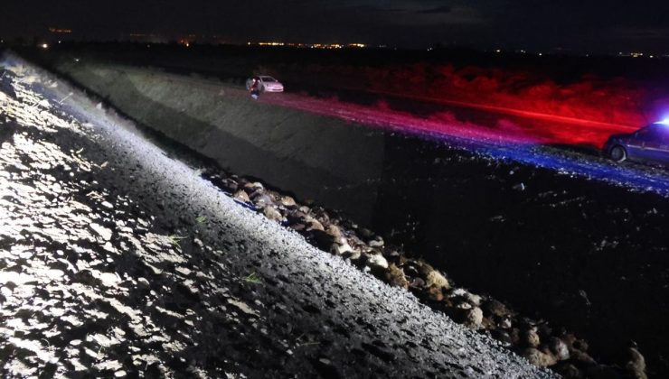 Iğdır’da arı saldırısı sonucu 400 küçükbaş hayvan telef oldu