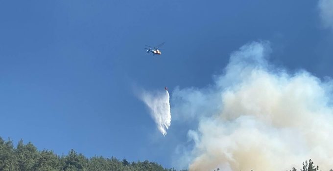 Şakalaşırken ormanı yakan sanık 43 milyon liralık kamu zararını ödeyecek